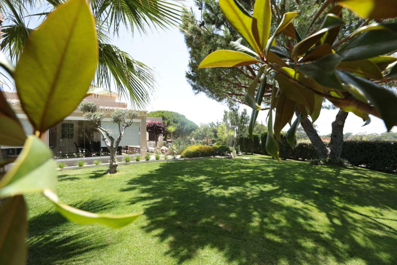 Quinta Do Pinheiro Manso - Holidays Villa - Marinha Beach Carvoeiro  Exterior photo