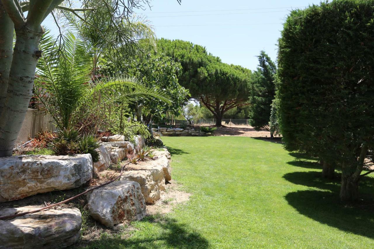 Quinta Do Pinheiro Manso - Holidays Villa - Marinha Beach Carvoeiro  Exterior photo