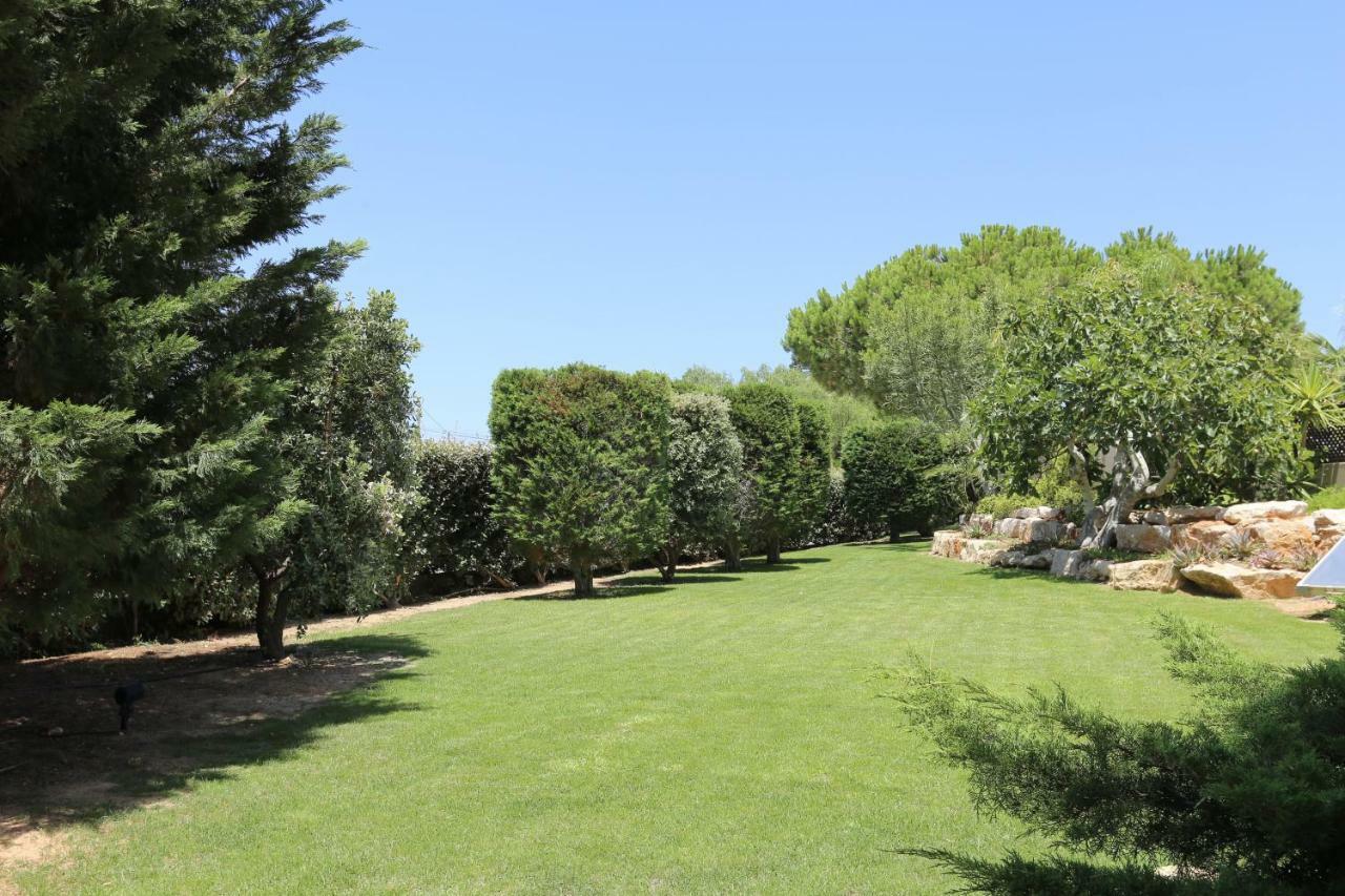 Quinta Do Pinheiro Manso - Holidays Villa - Marinha Beach Carvoeiro  Exterior photo